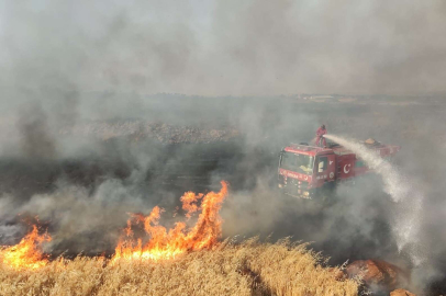 Gaziantep'te 7 bin dönüm buğday tarlası yandı