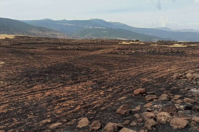 İslahiye'deki tarla yangını en büyük darbeyi çiftçiye vurdu