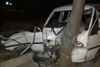 Kontrolden çıkan araç ağaca çarptı: 7 yaralı