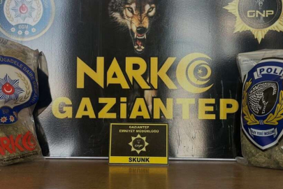 Gaziantep'te 2 kilo skunk ele geçirildi