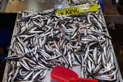 Balıklar da zamlardan nasibini aldı! Hangi balık nasıl pişirilir? İşte Yanıtı