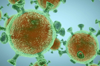 Koronavirüste korkutan varyant: 113 farklı mutasyona sahip