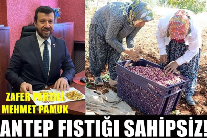 Zafer Partili Pamuk: Fıstık üreticisi sahipsiz!
