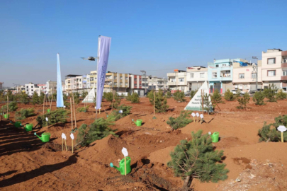 Taşlıca Malazgirt mahallesinde ağaç dikimi yapıldı