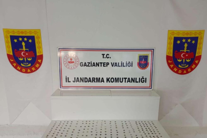 Gaziantep'te tarihi eser operasyonunda 425 sikke ele geçirildi