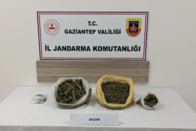 Nurdağı’nda 3 Kilo Skunk Ele Geçirildi: Skunk Nedir?