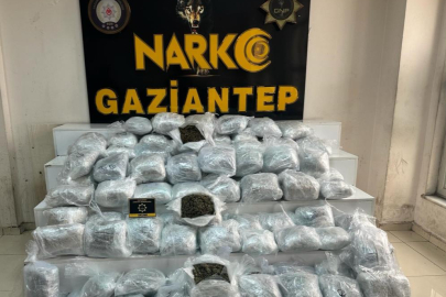 Gaziantep’te uyuşturucu operasyonu: 194 tutuklama