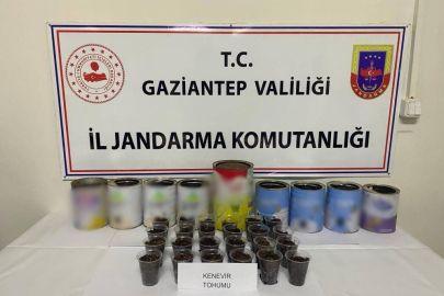 Jandarmadan uyuşturucu operasyonu