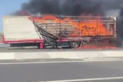 Seyir halindeki tırın dorsesi alev alev yandı