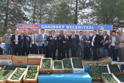 Şahinbey’de 10 milyon fide dağıtımı başladı