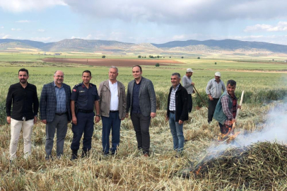 Gaziantep'te geleneksel yöntemlerle yapılan firik hasadı başladı
