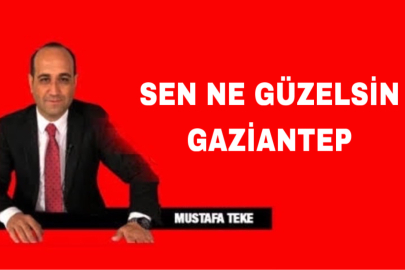 Mustafa Teke Yazdı… Sen Ne Güzelsin Gaziantep