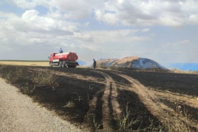 Gaziantep’te 200 dönüm arazi küle döndü