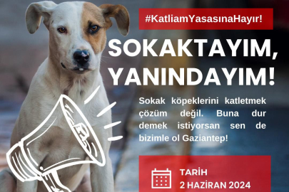 Hayvanseverler Kırkayak Parkı'nda buluşuyor