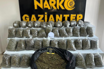 Gaziantep’te 56 kilo esrar ele geçirildi