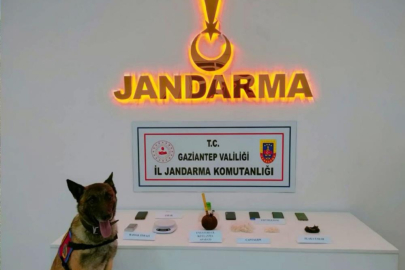 Gaziantep jandarmadan 2 ayda 823 şüpheliye gözaltı