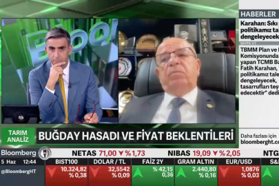 TUSAF Yönetim Kurulu Başkan Yrd. Ve Güneydoğu Un Sanayicileri Derneği (GUSAD) Yönetim Kurulu Başkanı Mesut Çakmak: Güneydoğu'dan 4.5 milyon ton buğday beklentimiz var