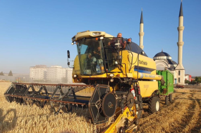 Gaziantep'te arpa ve buğday hasadı başladı