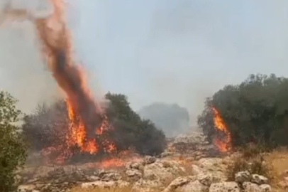 Gaziantep'te korkutan yangın