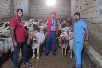 Gaziantep'teki Asırlık Vakıflardan İhtiyaç Sahiplerine Kurban Bağışı