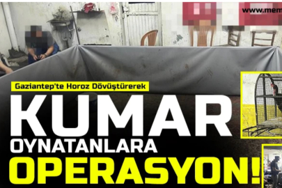 Gaziantep’te kumar oynayan 15 şahsa 96 bin TL ceza