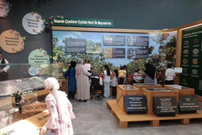 Büyükşehir'in müzeleri ve doğal yaşam parkı, ziyaretçi akınına uğradı