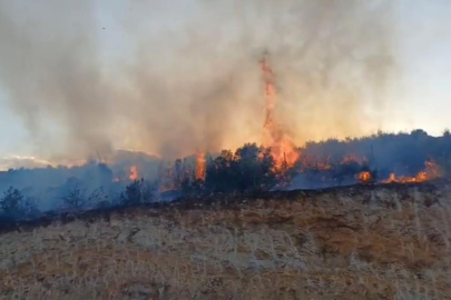 Gaziantep'te orman yangını