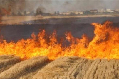 Arabanlı çiftçilere anız yakma yasağıyla ilgili duyuru