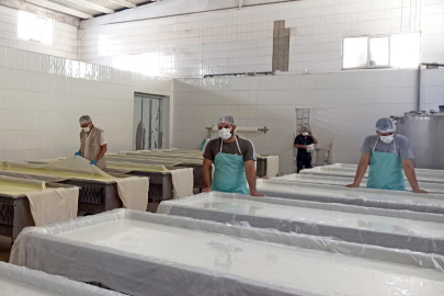 Gaziantep Tarım ve Orman İl Müdürü Karayılan: BİZ KEFİLİZ