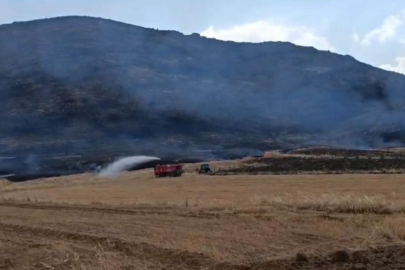 Gaziantep'te anız yangını ormanlık alana zarar verdi