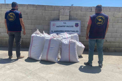 Babasının tarlasından 1,5 ton Antep fıstığı çalan şüpheli yakalandı