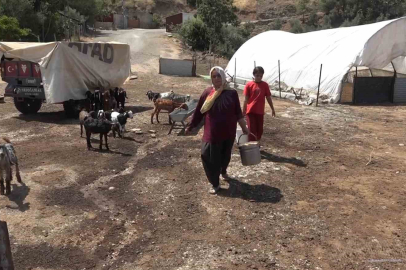 Depremzede kadın besici, devlet desteğiyle besiciliğe devam ediyor