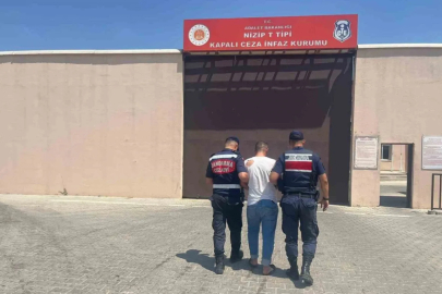 Antep fıstığı çalma anı kameraya yansıyan şahıs tutuklandı
