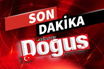 Direksiyon hakimiyetini kaybeden otomobil tarlaya uçtu: 3'ü çocuk 5 yaralı