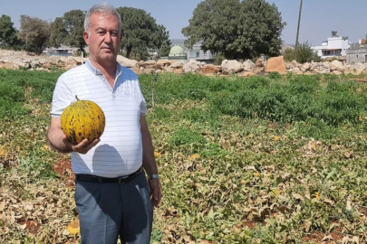 Altun: “Tarlada bedava, rafta ateş pahası”