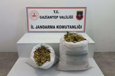 Gaziantep'te 515 kilo Antep fıstığı çalan 2 şüpheli suçüstü yakalandı