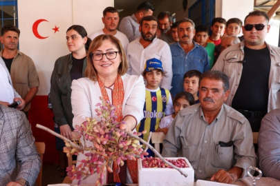 Fatma Şahin Nizip'te çiftçilerle buluştu