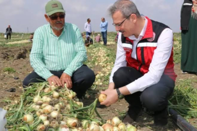 Tarımda yeni dönem başladı! Destekler belirlendi!