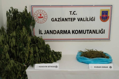Gaziantep’te uyuşturucu operasyonu: 1 gözaltı