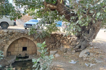 Araban'daki Roma dönemine ait tarihi çeşmeler kurtarılmayı bekliyor
