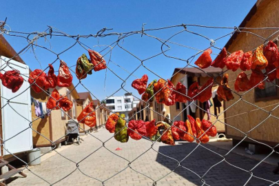Depremzede kadınların kurutmalık ve salça telaşı başladı