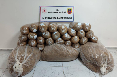Jandarma'dan huzur operasyonu! Gaziantep'te 500 kilo kaçak tütün ele geçirildi