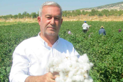 Araban Çukobirlik, 2024 yılı pamuk fiyatını açıkladı
