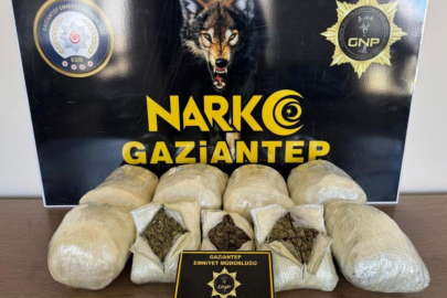 Gaziantep Polisi'nden alkışlanacak operasyon! 5 kilo skunk ele geçirildi