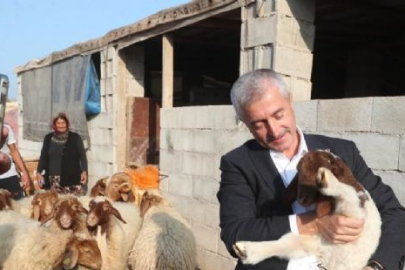 313 aileye verilen hayvan desteği sayesinde aileler hayvan yetiştiricisi olurken, ilçedeki hayvan varlığı arttı.