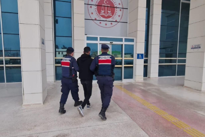 Dolandırıcılara jandarma operasyonu