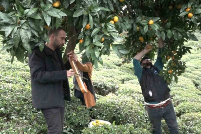 Böyle hasat görülmedi!