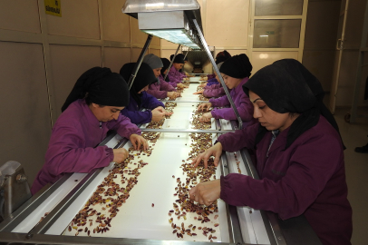 Antep fıstığı ihracatı arttı
