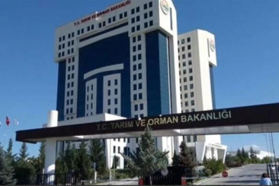 Gaziantepli hangi firmalar taklit- tağşiş listesinde