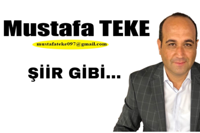 Mustafa Teke Yazdı… Gaziantep FK şiir gibi